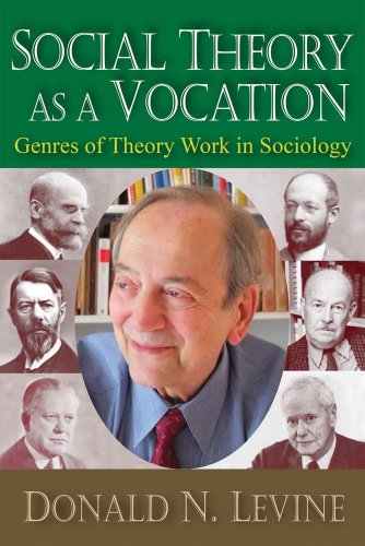 social theory as a vocation genres of theory work in sociology