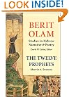 The Twelve Prophets (Vol. 2): Micah, Nahum, Habakkuk, Zephaniah, Haggai, Zechariah, Malachi (Berit Olam series)