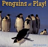 Penguins at Play! 2007 Calendar: 16 Month Calendar