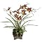 Butterfly Orchid Faux Floral Arrangement in Square Pot