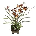 Butterfly Orchid Faux Floral Arrangement in Square Pot