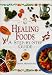 Book Healing Foods: A Step-By-Step Guide (In a Nutshell, Nutrition Series)