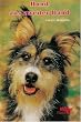 Hund aus zweiter Hand
