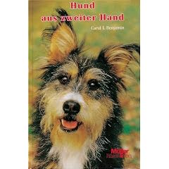 Hund aus zweiter Hand
