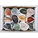 Rock Collection of 12 Different Rough Stones