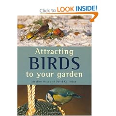 Attracting Birds to Your Garden