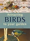 Attracting birds to your garden