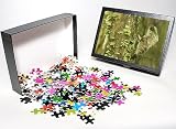Photo Jigsaw Puzzle of MAR-303 Casque-headed Basilisk - Old Man Lizard - Helmeted Iguana from Ardea Wildlife Pets