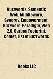 Buzzwords: Semantic Web, Middleware, Synergy, Empowerment, Buzzword, Paradigm, Web 2.0, Carbon Footprint, Comet, List of Buzzwords