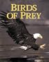 Birds of Prey