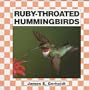 Ruby Throated Hummingbirds