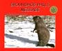 Groundhog Phil's Message (Birenbaum, Barbara, Story Within a Story.)