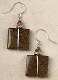 Earrings - Bronzite Wire Wrap