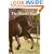 Understanding the Horse's Back