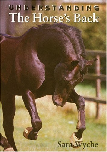 Understanding the Horse's Back
