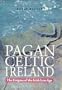 Pagan Celtic Ireland: The Enigma of the Irish Iron Age