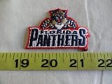 Florida Panthers Patch