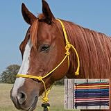 PNW Select 1/4 Charity Rope Horse Halter - Yellow for Fallen Hero's Fund