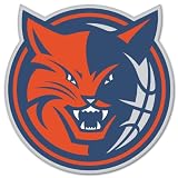 Charlotte Bobcats NBA Basketball car sticker 4" x 4"
