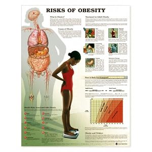 Control Obesity with Obesity Anatomical Chart Unmounted-9776PU