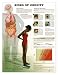 Risks of Obesity Anatomical Chart Plastic Styrene