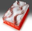 Lush Life Party Ice Luge