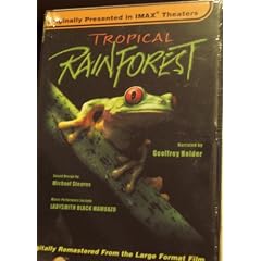 Tropical Rain Forest by 