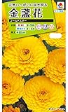 タキイ種苗金盞花ゴールドスター