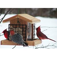 Birdand#039;s Choice 5 Qt 2-Sided Cedar Wood Hopper Bird Feeder w/ 2 Suet Cages
