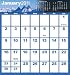 Large Printe 2011 Pocket Planner