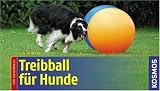 Treibball für Hunde: Für unterwegs
