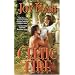 Celtic Fire (Paranormal Romance)