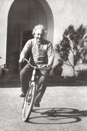 Albert Einstein Bike On Campus 24x36 Poster Print, 24x36 Photography Poster Print, 24x36
