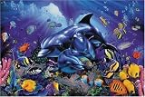 Ravensburger - Puzzle - Couleurs De La Vie Du Recif De Corail - 500 Pieces