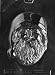 LARGE SANTA HEAD Christmas Candy Mold Chocolate