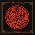 Click here to buy Dose by  Gov't Mule .