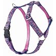 Wing It - 1/2 in. Lupine Adjustable Roman Style Harness - 9 in. to 14 in.