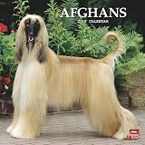 Afghans 2010 Wall Calendar