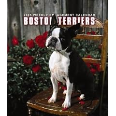 Boston Terriers 2005 Weekly Engagement Calendar