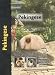 Pekingese (Pet love)