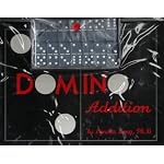 Domino Addition book cover