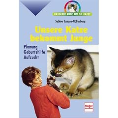 Unsere Katze bekommt Junge. Ratgeber rund um die Katze.