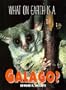 What on Earth Is a Galago?
