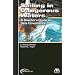 Sailing in Dangerous Waters: A Director's Guide to Data Goverance