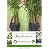 Le guide Marabout des plantes d�polluantes : Agir pour purifier l'air dans la maison
