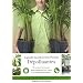 Le guide Marabout des plantes d�polluantes : Agir pour purifier l'air dans la maison