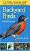 Backyard Birds (Field Guides for Young Naturalists) 51TMEko5H9L. SL75 Bird Watching Is For Everyone