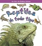 Que Son Los Reptiles? / Waht is a Reptile? (La Ciencia De Los Seres Vivos/Science of Living Things (Spanish))