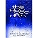 Goo Goo Dolls - Live in Buffalo