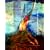 Understanding Abnormal Behaviour (Psychology)